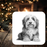 Bearded Collie Dog Coaster personalised with any wording - Rainbowprint.uk