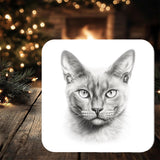 Burmese Cat Coaster Gift: personalised with any wording - Rainbowprint.uk