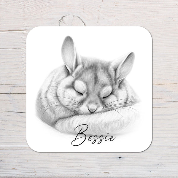 Chinchilla Coaster Gift: personalised with any wording - Rainbowprint.uk