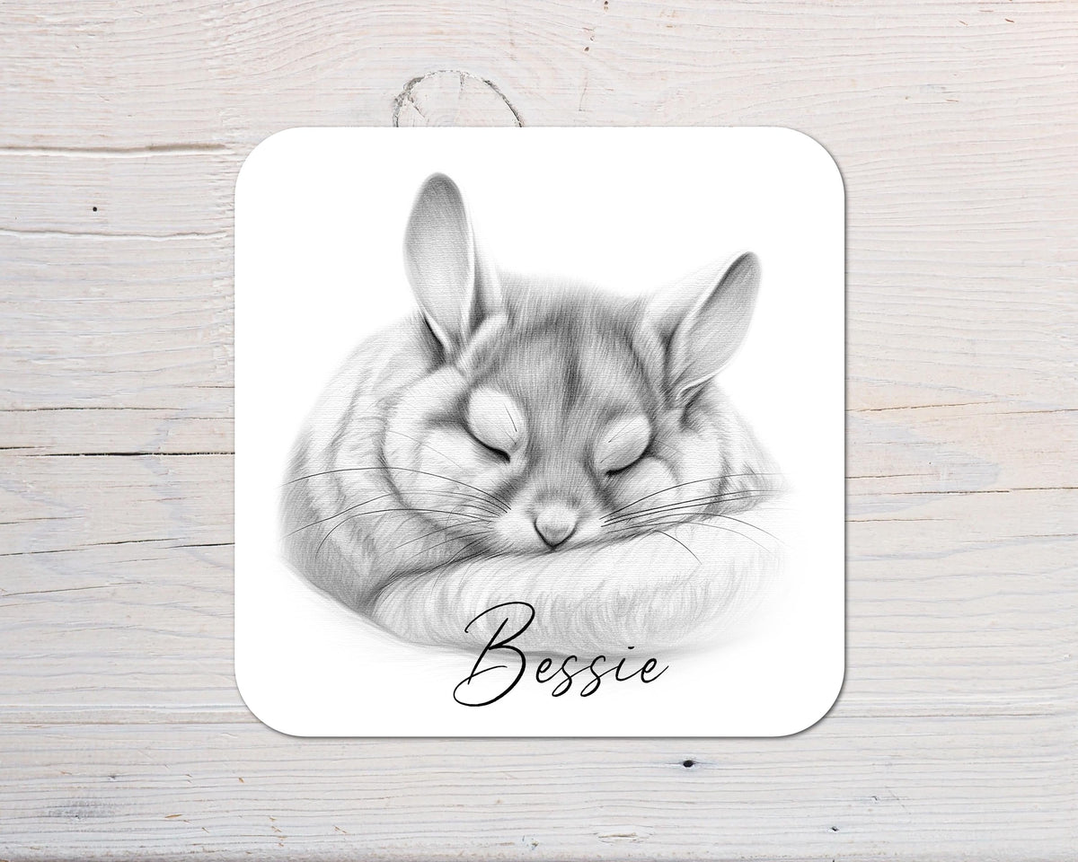 Chinchilla Coaster Gift: personalised with any wording - Rainbowprint.uk