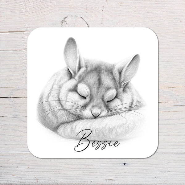 Chinchilla Coaster Gift: personalised with any wording - Rainbowprint.uk