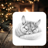 Chinchilla Coaster Gift: personalised with any wording - Rainbowprint.uk
