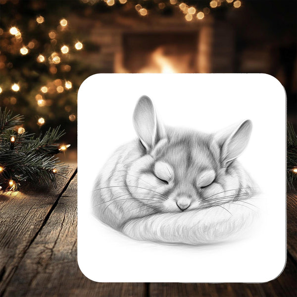 Chinchilla Coaster Gift: personalised with any wording - Rainbowprint.uk
