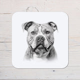XL Bully Dog Coaster: personalised with any wording