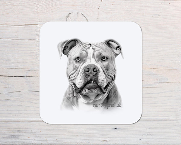 XL Bully Dog Coaster personalised www.rainbowprint.uk