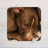 Your Photo on a Coaster Gift: any photo, wording, logo