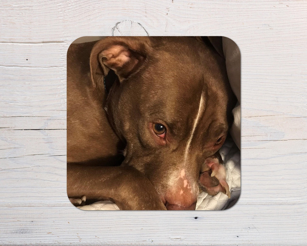 Your Photo on a Coaster Gift: any photo, wording, logo