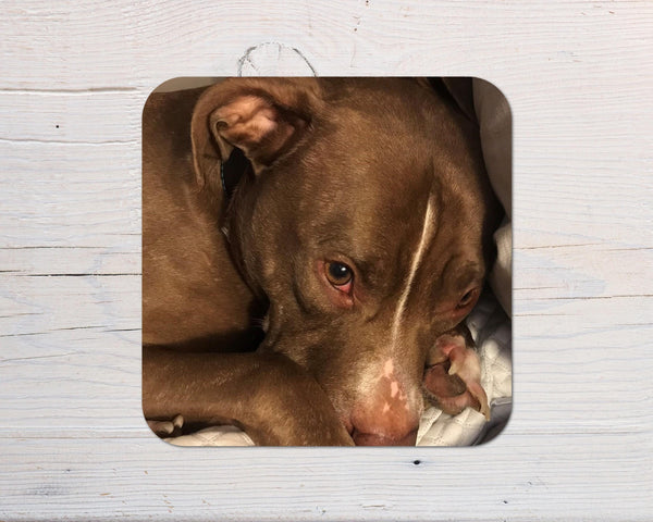 Your Photo on a Coaster Gift: any photo, wording, logo