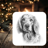 English Setter Dog Coaster: personalised with any wording
