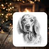 English Setter Dog Coaster: personalised with any wording