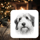 Old English Sheep Dog Coaster Gift: personalised with any wording - Rainbowprint.uk