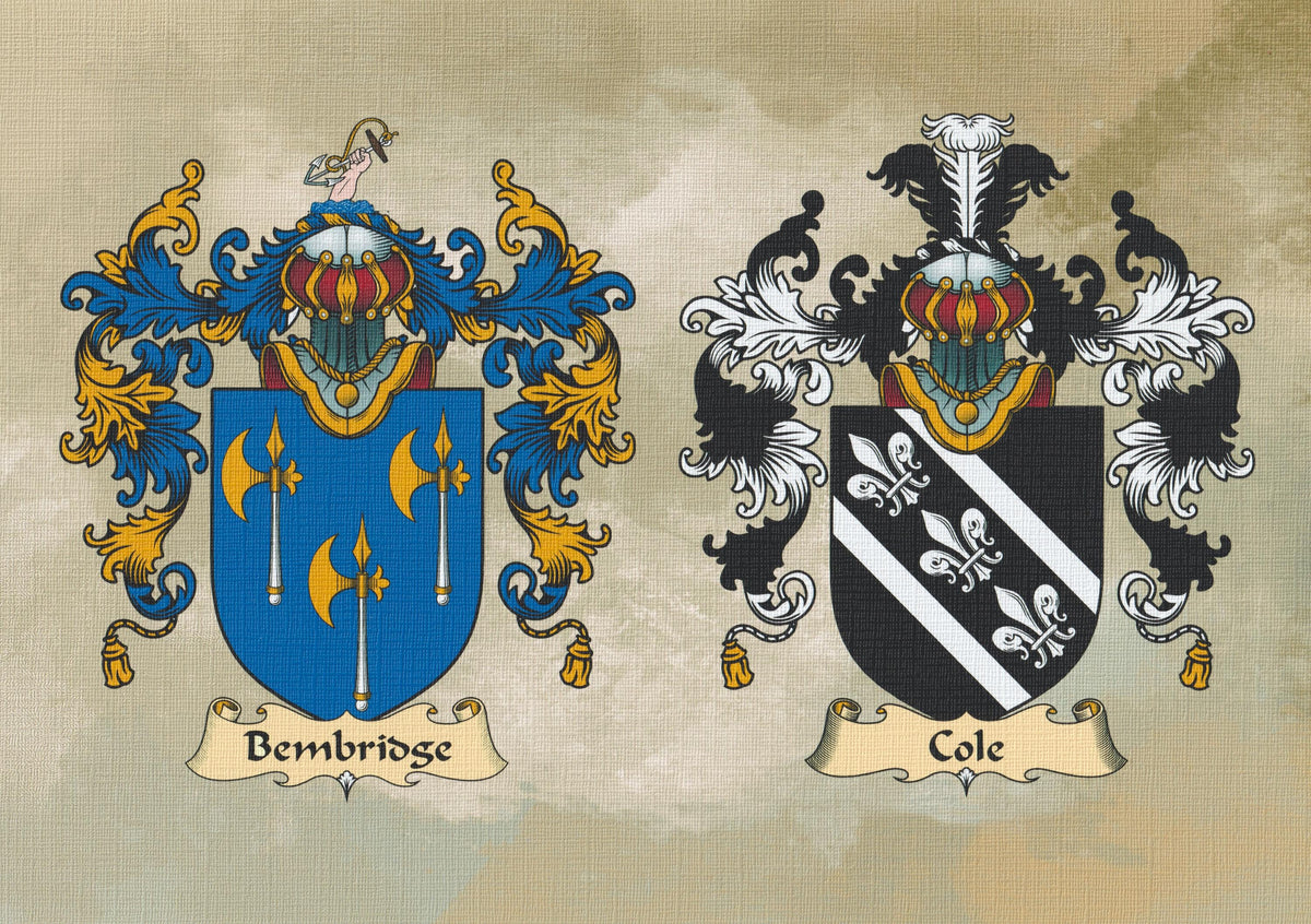 Personalised Family Crest Print: Surname History, Heraldry Art (A4 Unframed) - Rainbowprint.uk