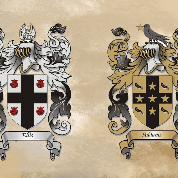 Framed Heraldry/Genealogy/Family Crest/Family Name/Coat of Arms/Surname Double Crest A4 Wall Print for Couple - Rainbowprint.uk