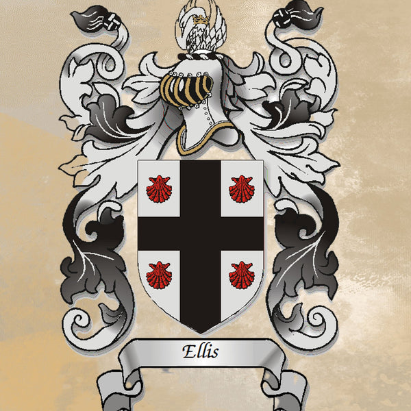 Heraldry/Genealogy/Family Crest/Family Name/Coat of Arms/Surname A4 Wall Print Canvas or Glossy Print - Rainbowprint.uk